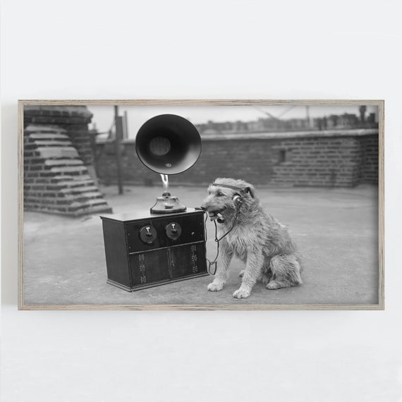 Frame Tv Art Dog Listening To Music Black And White Art Vintage Wall Art Dog Wall Art Funny Wall Art Art For Frame Tv