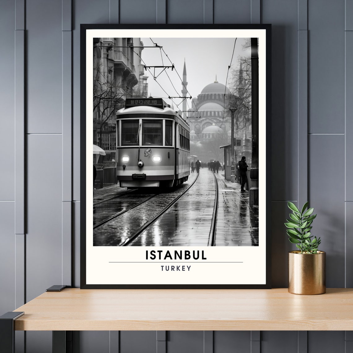 Istanbul Turkey Black and White Tram Historic Street Photo Poster