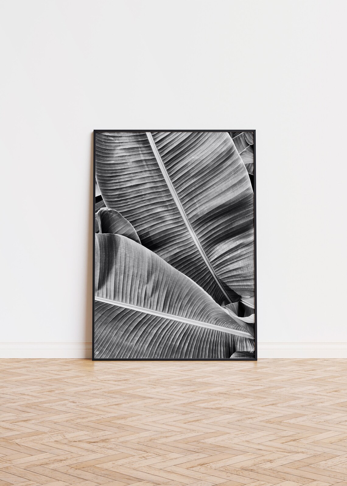 Monochrome Banana Leaves Close Up Botanical Photography Art Poster