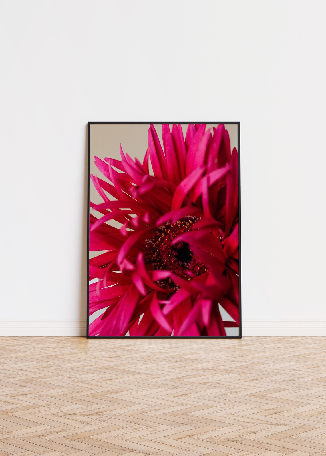 Bright Pink Gerbera Daisy Macro Flower Photography Art Poster