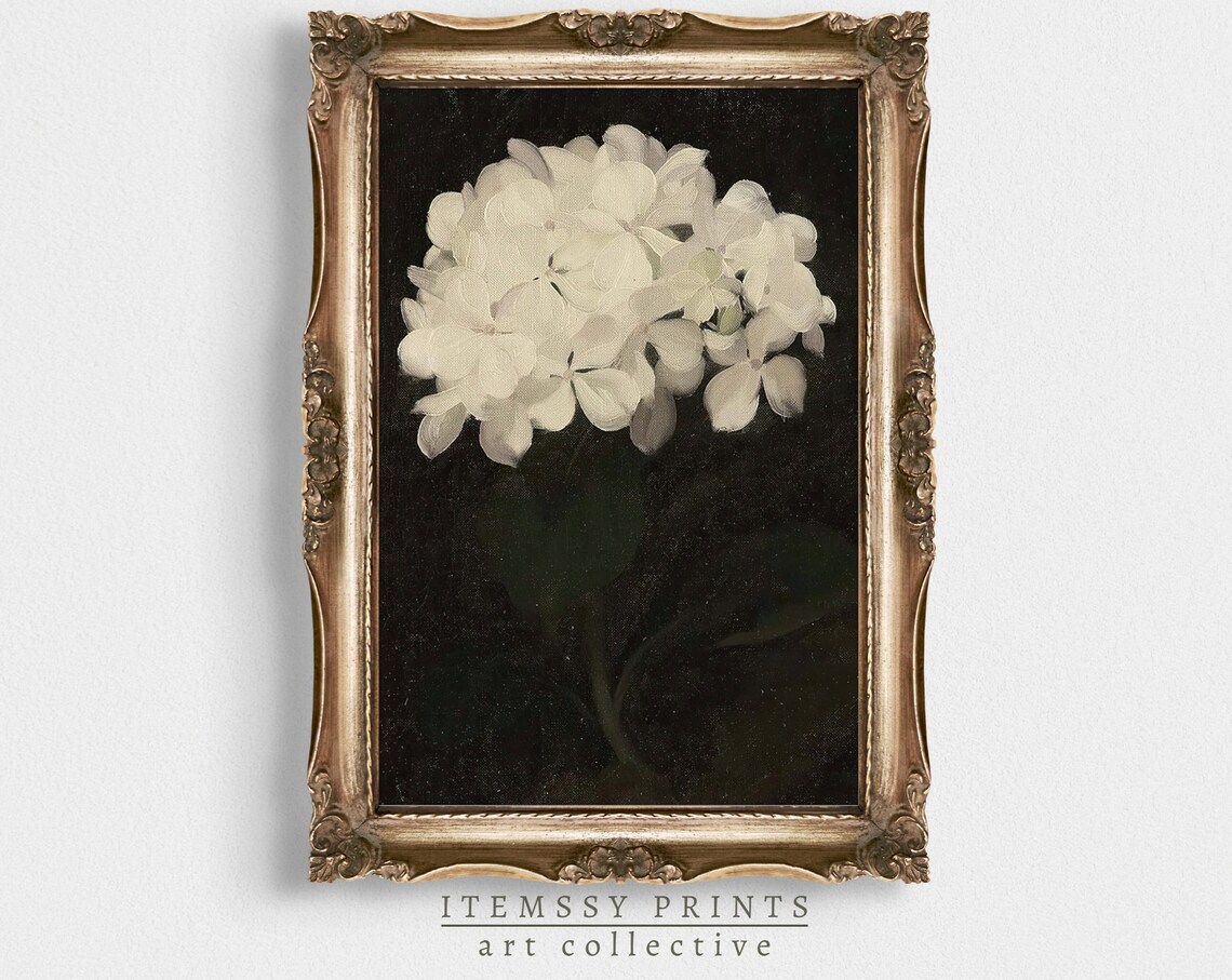 White Hydrangea Bloom On Dark Background Moody Botanical Oil Poster