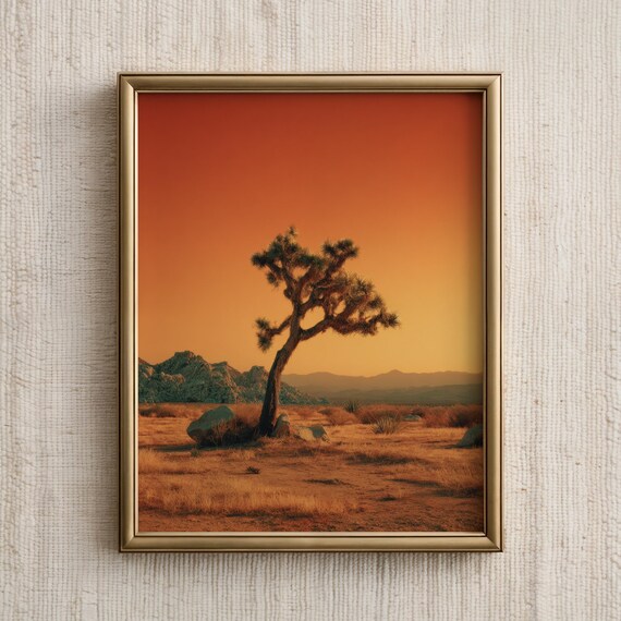 Joshua Tree Desert Sunset Orange Sky Western Photography Poster