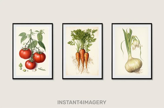 Vintage Vegetable Botanical Set Tomato Carrot Onion Kitchen Poster