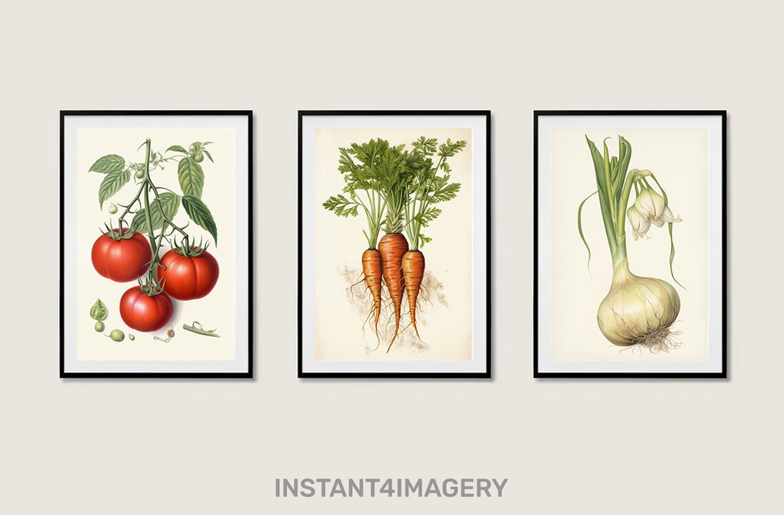 Antique Vegetable Botanical Prints Set Of 3