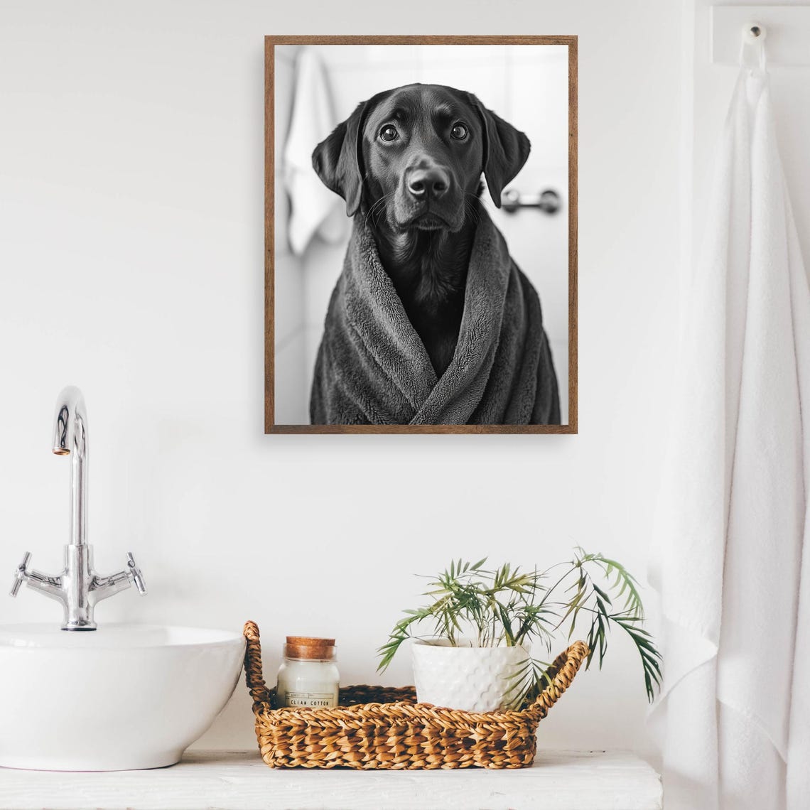 Black Labrador Wrapped In Towel After Bath Dog Portrait Poster - Image 2
