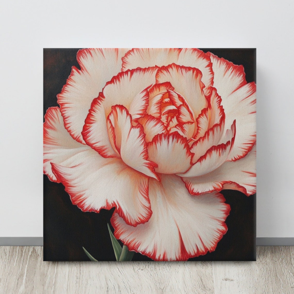 Red White Two Toned Carnation Black Background Bold Statement Poster