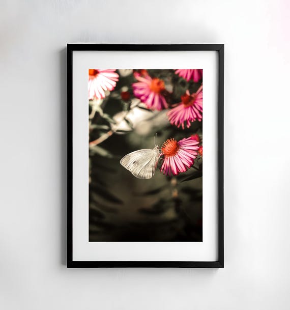 Butterfly Photography Nature Wall Art Poster Fine Art Print Macro Nature Photography Decor Art Wall Design Flower