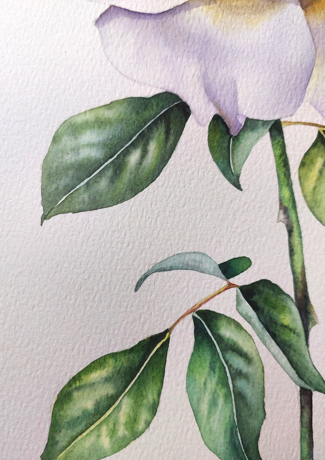White Rose Watercolor Poster With Cream Bloom And Green Leaves - Image 5