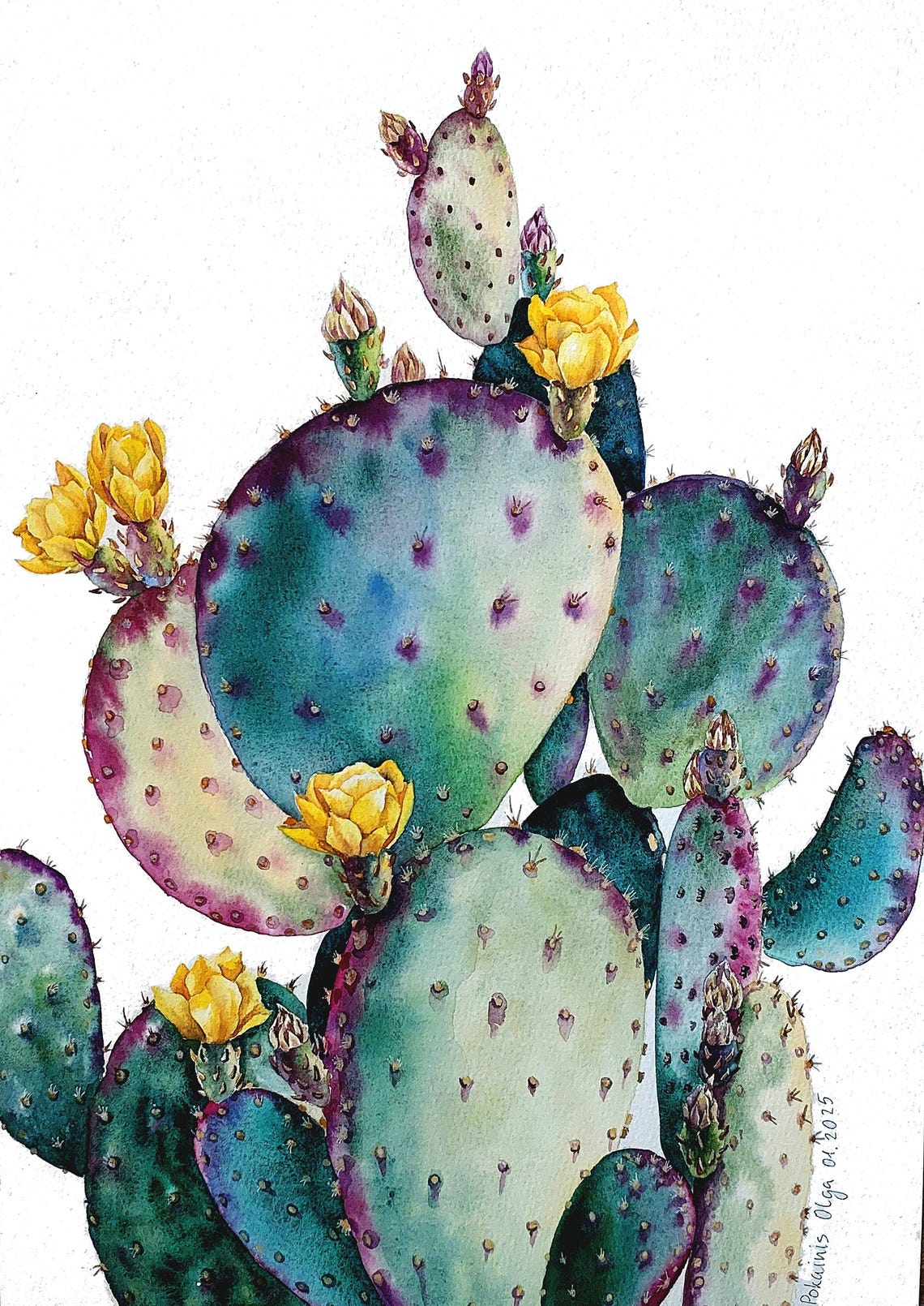 Purple Prickly Pear Watercolor Poster With Yellow Cactus Flowers