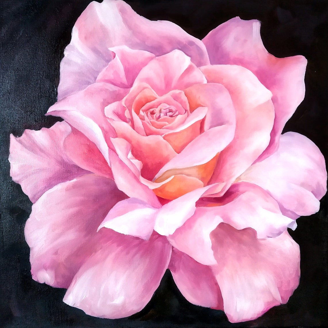 Blush Pink Rose Bloom in Dramatic Oil Painting Floral Poster