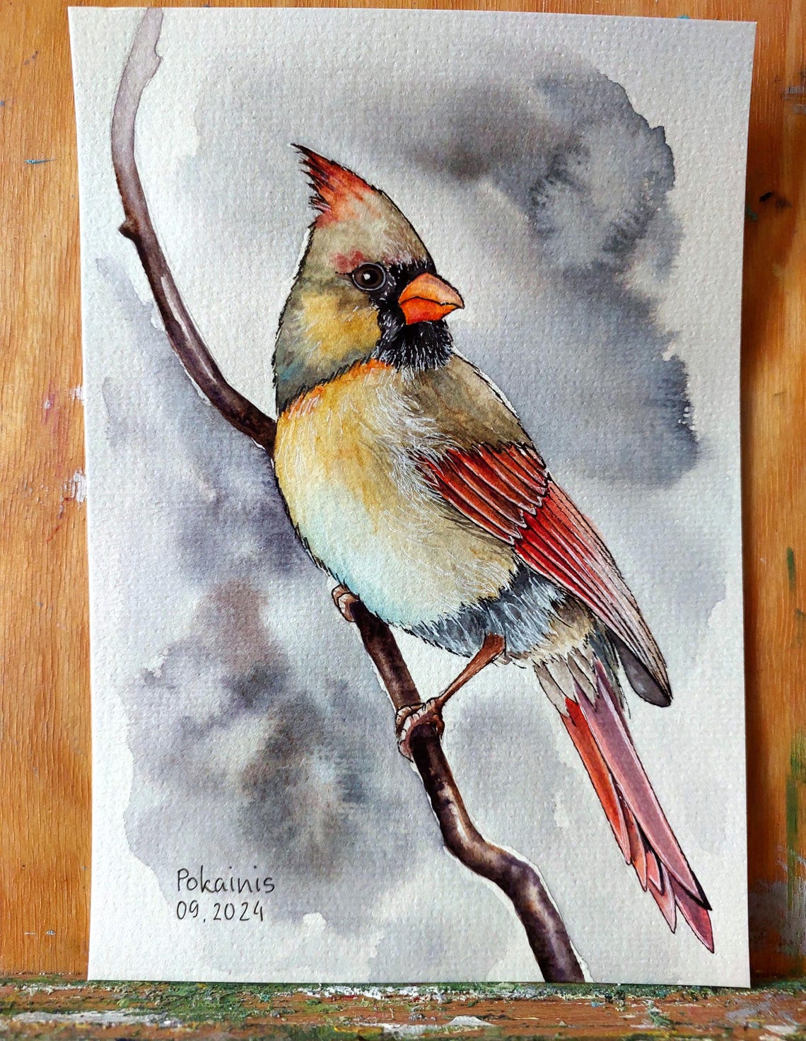 Female Northern Cardinal Perched on Branch Watercolor Poster - Image 5