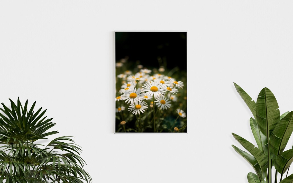 White Daisy Wildflower Field Close Up Night Garden Photo Print - Image 2