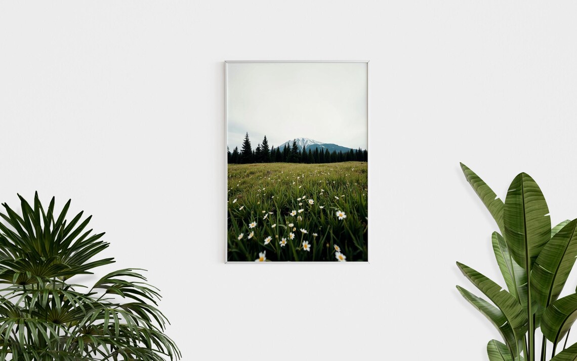 Wildflower Meadow Daisy Field Snow Capped Mountain Pine Forest Poster - Image 2