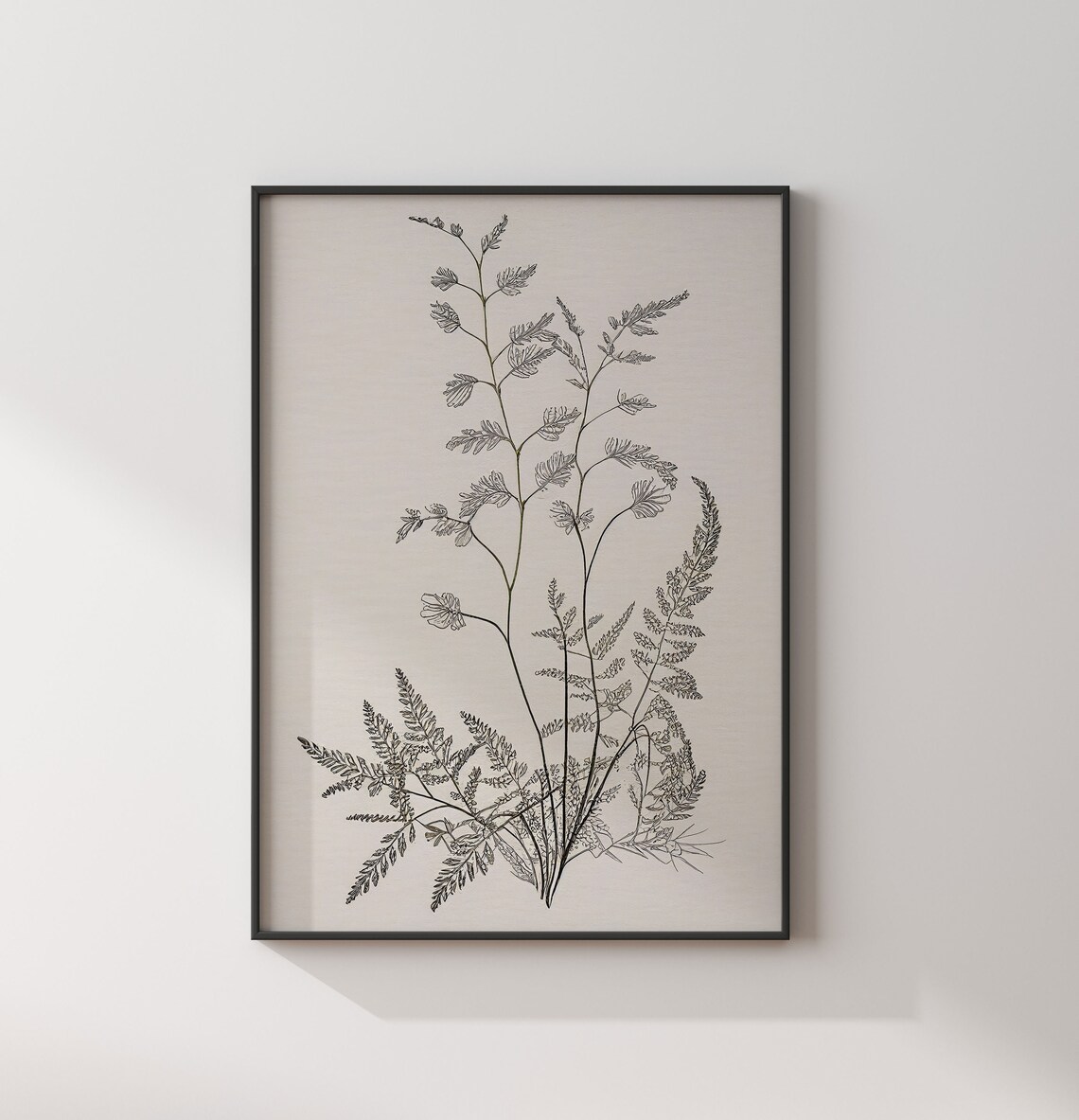 Vintage Botanical Sketch, Antique Art Print - Image 3