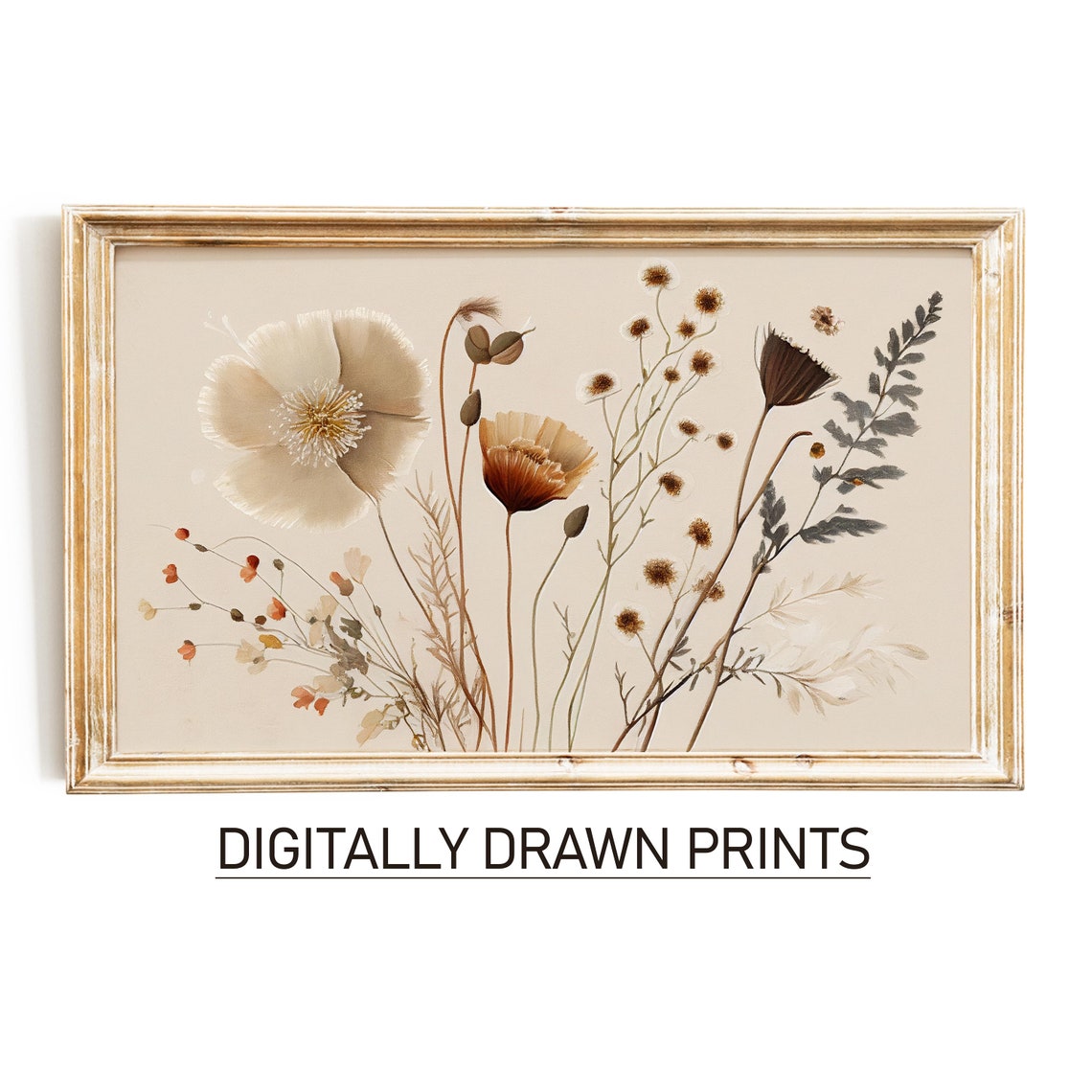 Dried Wildflower Cream Poppy Watercolor Fall Botanical Art Poster