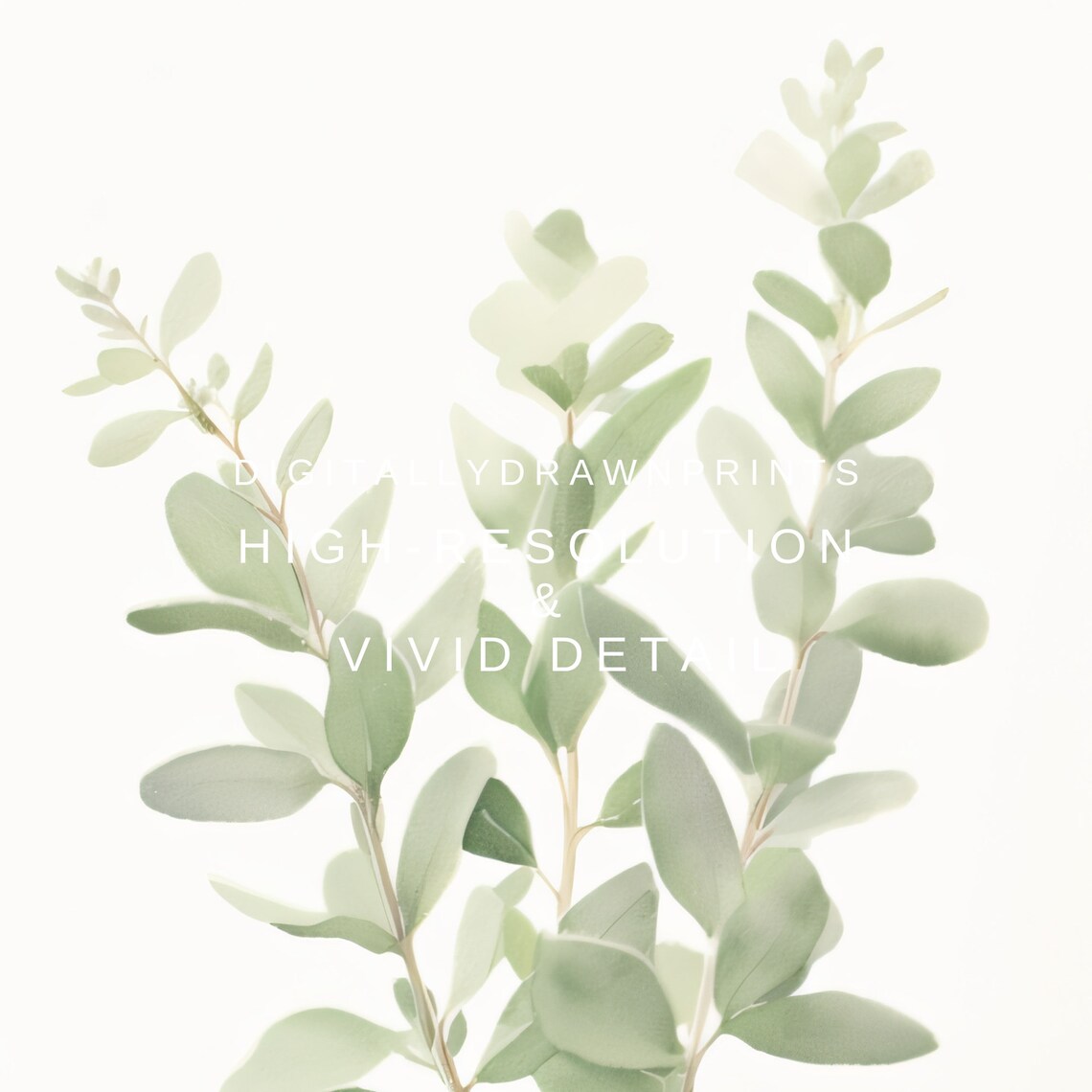 Dandelions Sage Green Botanical Boho Art Print - Image 2