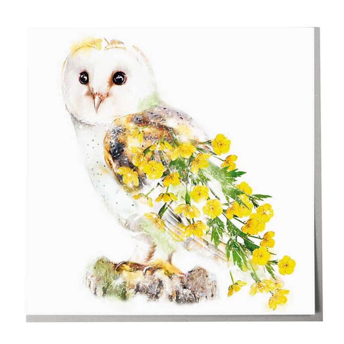 Barn Owl Blank Greeting Card