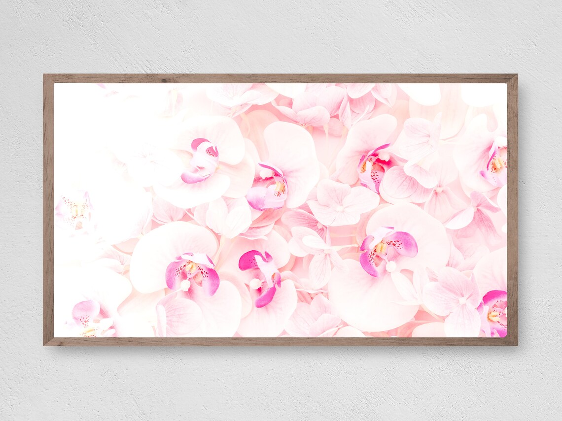 Blush Pink Orchids Blooming Soft Romantic Floral Photo Poster