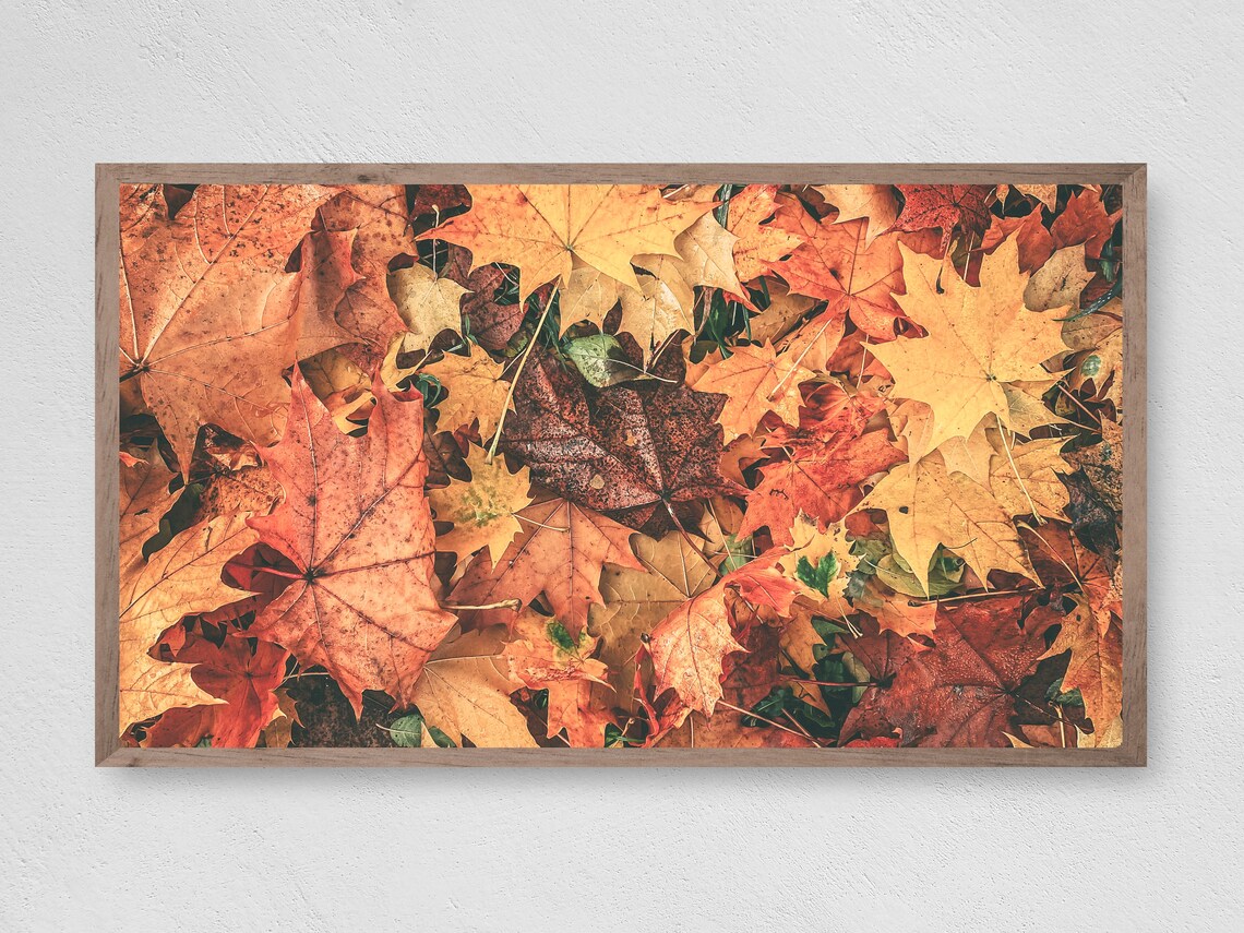Leaf Colors on Display, Botanical Art Print