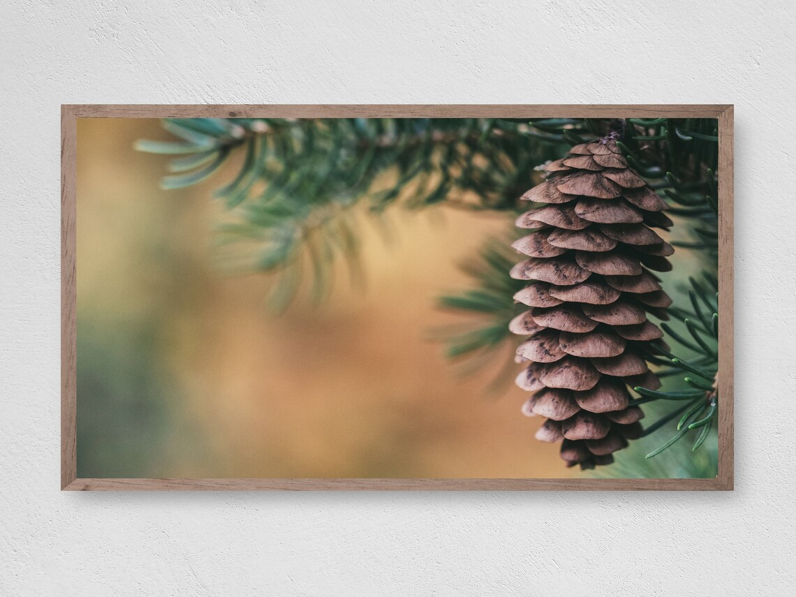 Pinecone Branch Christmas TV Art, Winter Decor