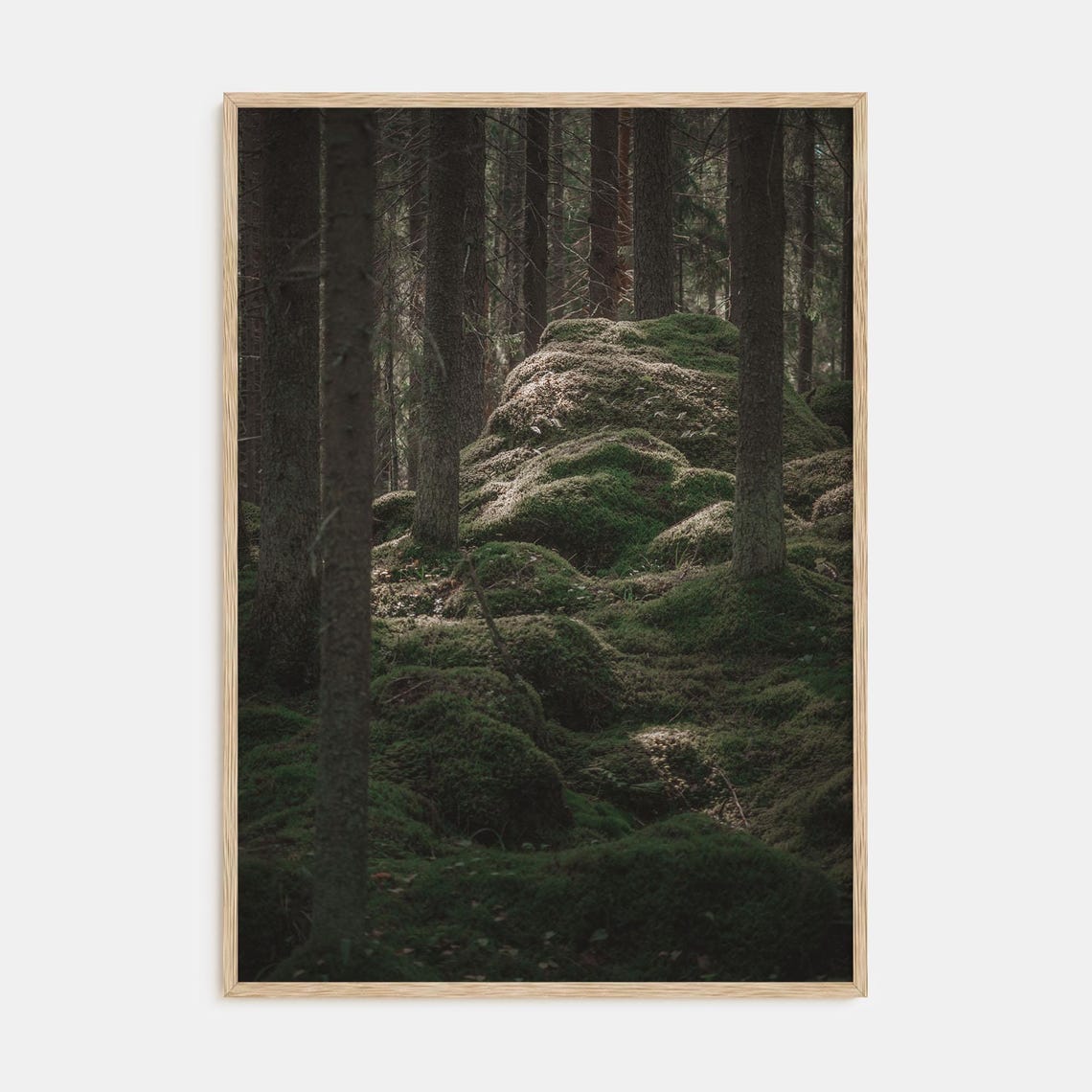 Dark Moss-Covered Forest Interior With Ancient Boulder Poster