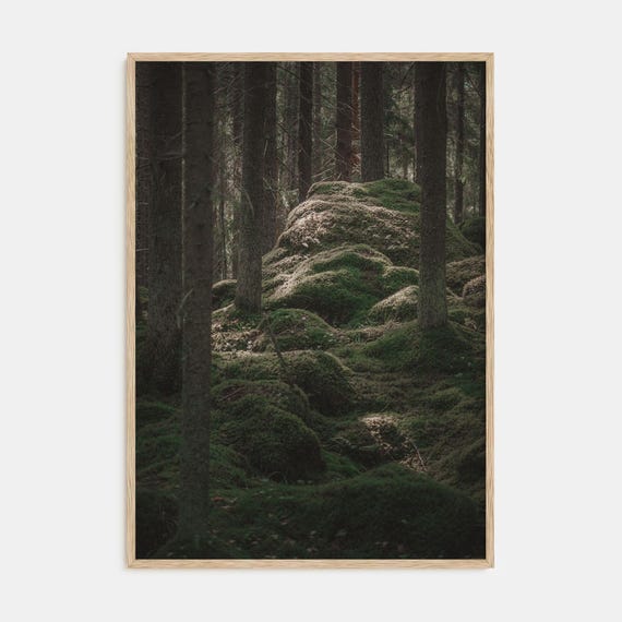 Scandinavian Forest Print Fine Art Color Photography Poster Nature Wall Art Home Dcor Landscape Photography