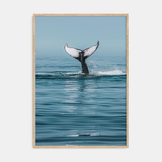 Whale Tail Dive Moment Poster Blue Ocean Wildlife Sea Photo Art
