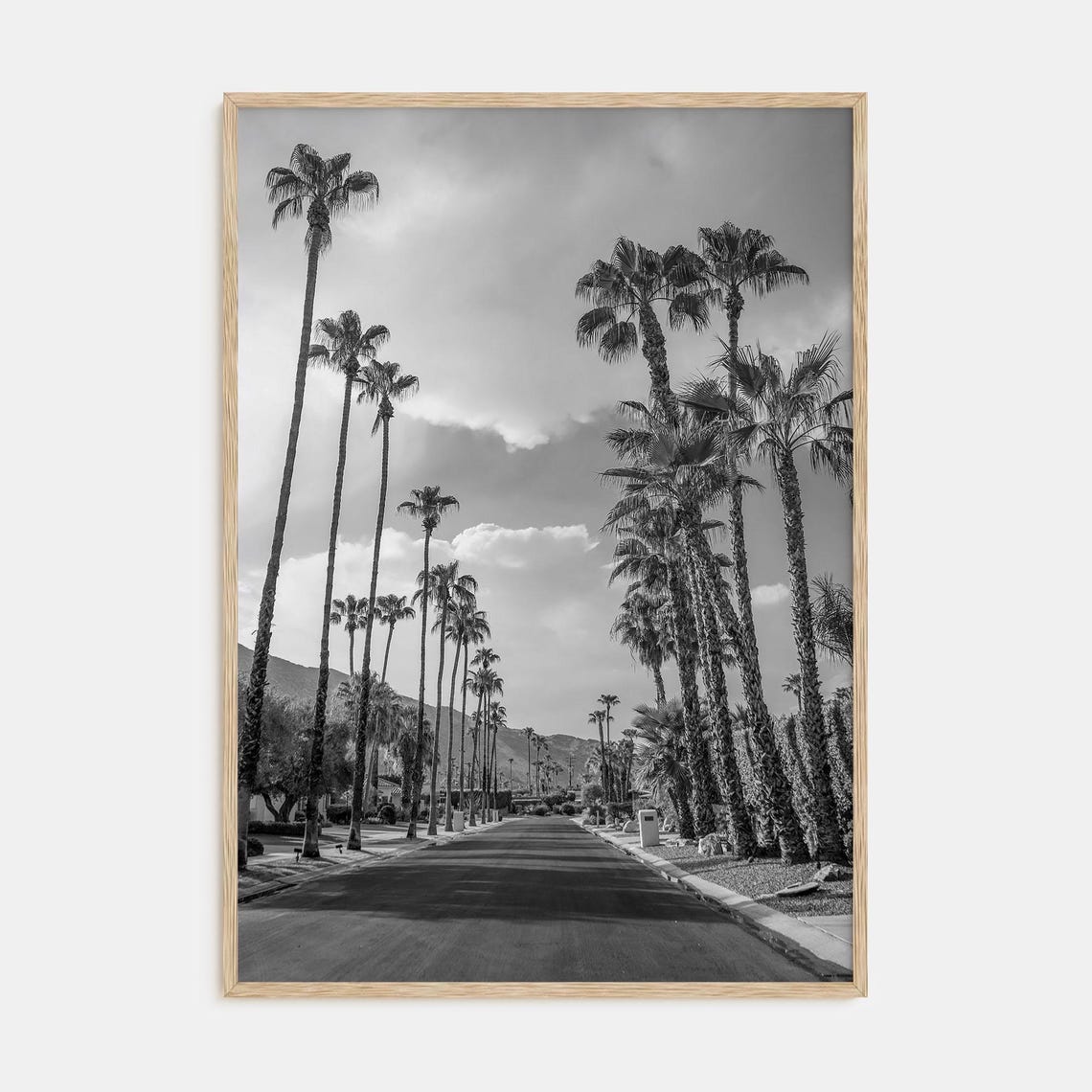 Black and White Palm Tree Lined Street with Mountains Poster