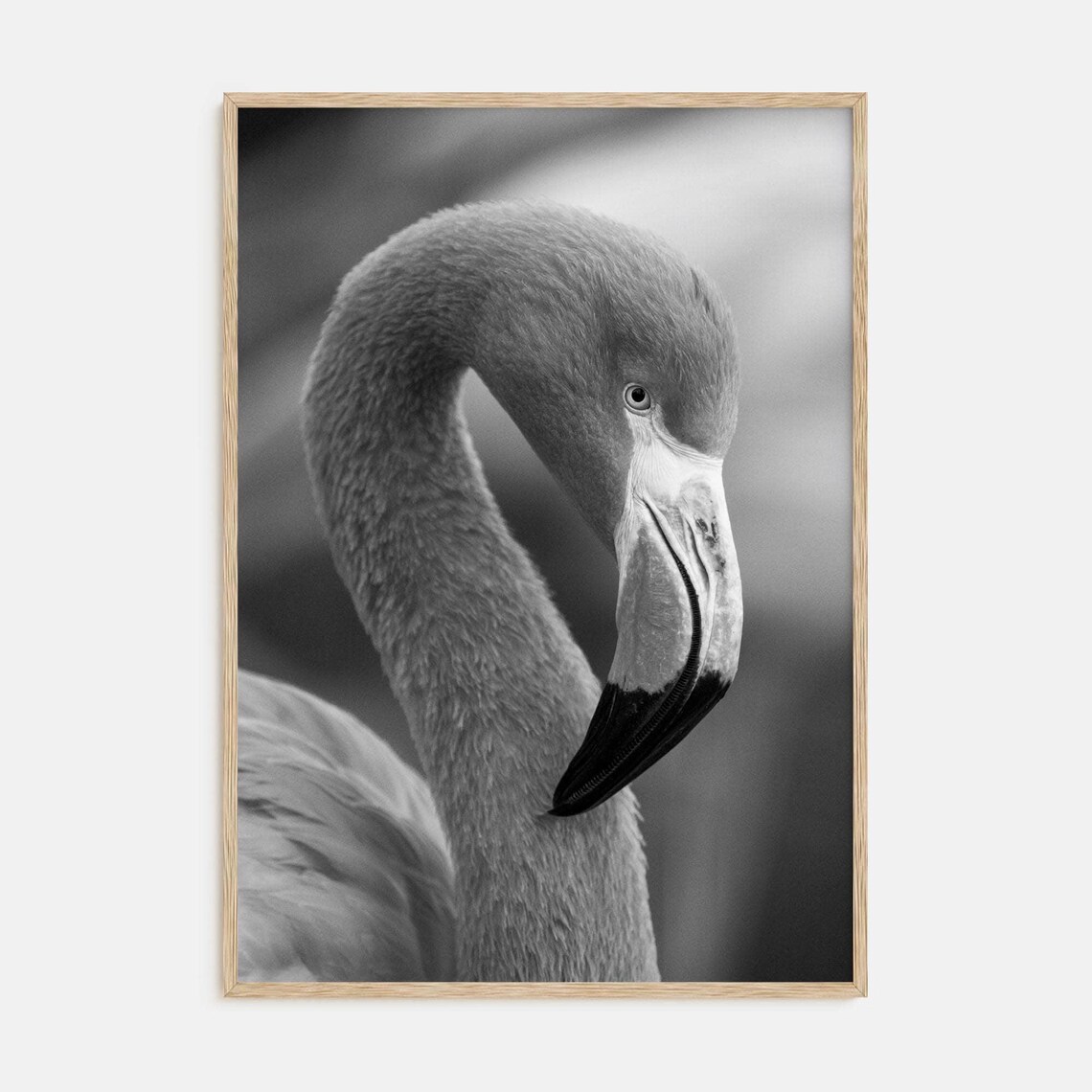 Elegant Flamingo Close Up Curved Neck Black and White Art Print