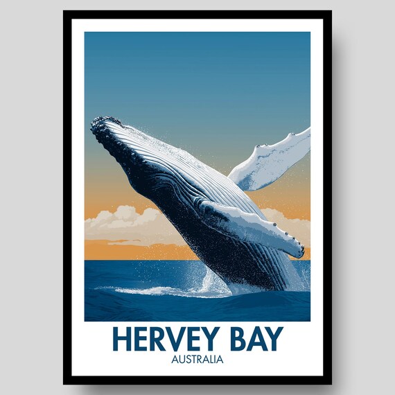 Hervey Bay Australia Humpback Whale Breach Ocean Wildlife Poster