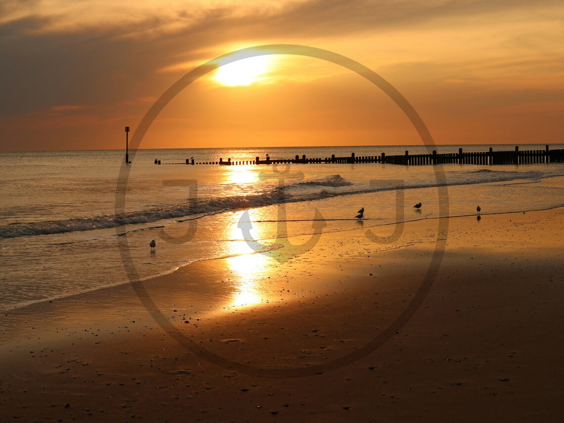 Golden Sunrise Over Calm Beach Wooden Groynes and Birds Poster - Image 3