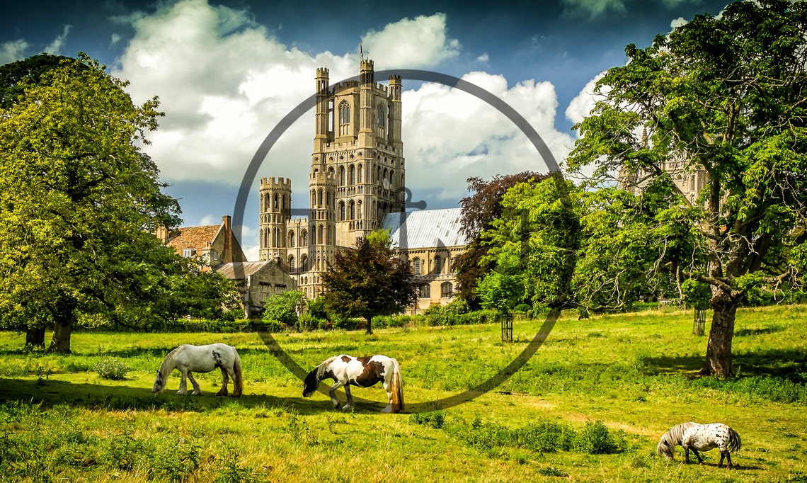 Ely Cathedral Towering Over a Meadow With Grazing Horses Poster - Image 3