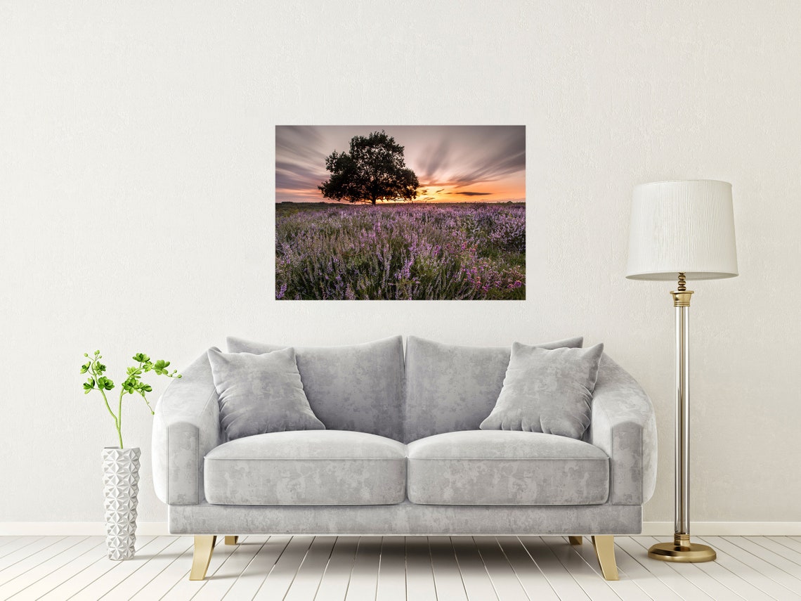 Lone Tree Silhouetted in Purple Heather Field at Sunset Poster - Image 2