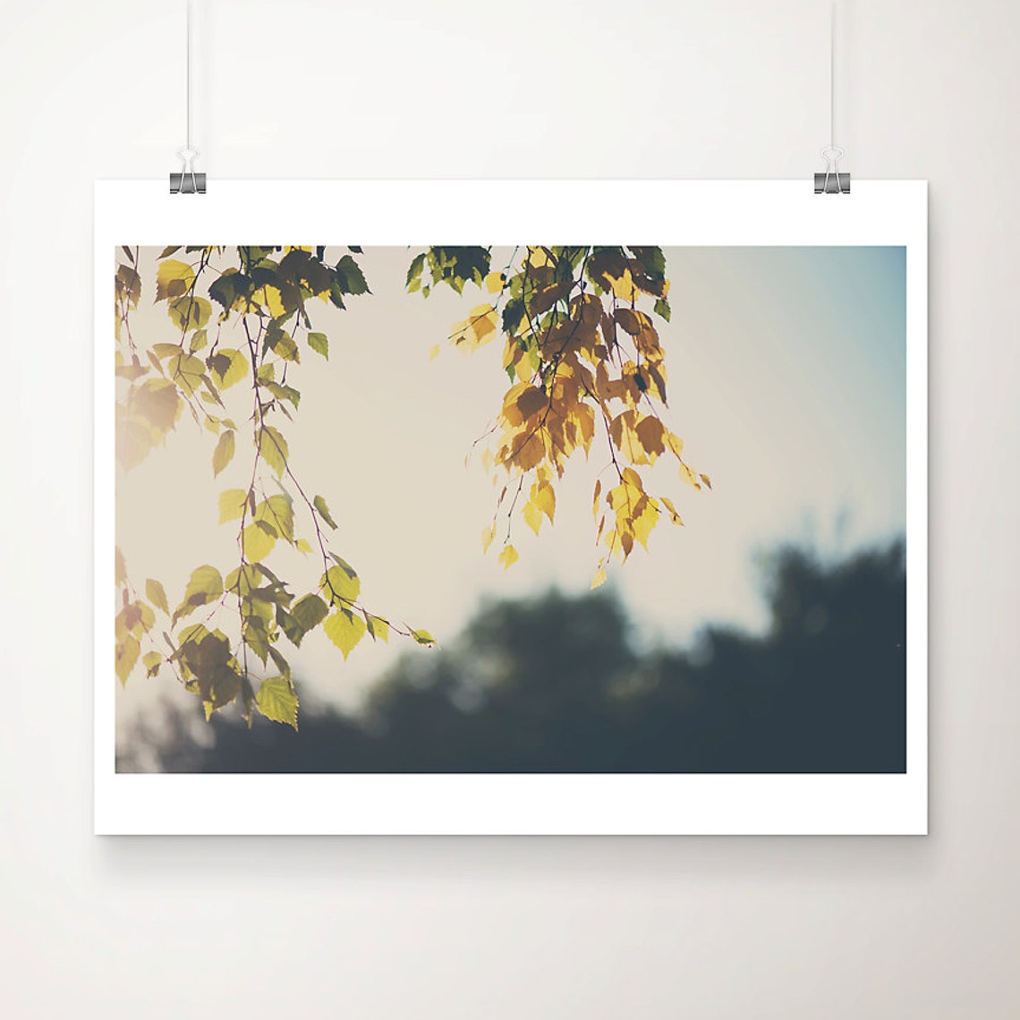 Golden Autumn Leaves Backlit Tree Branches Nature Photography Poster