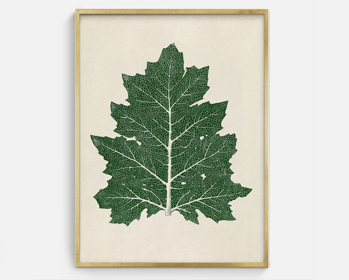 Hand Drawn Oak Leaf Sketch, Botanical Art Print