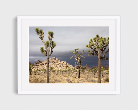 Joshua Tree California Desert Landscape Art Print