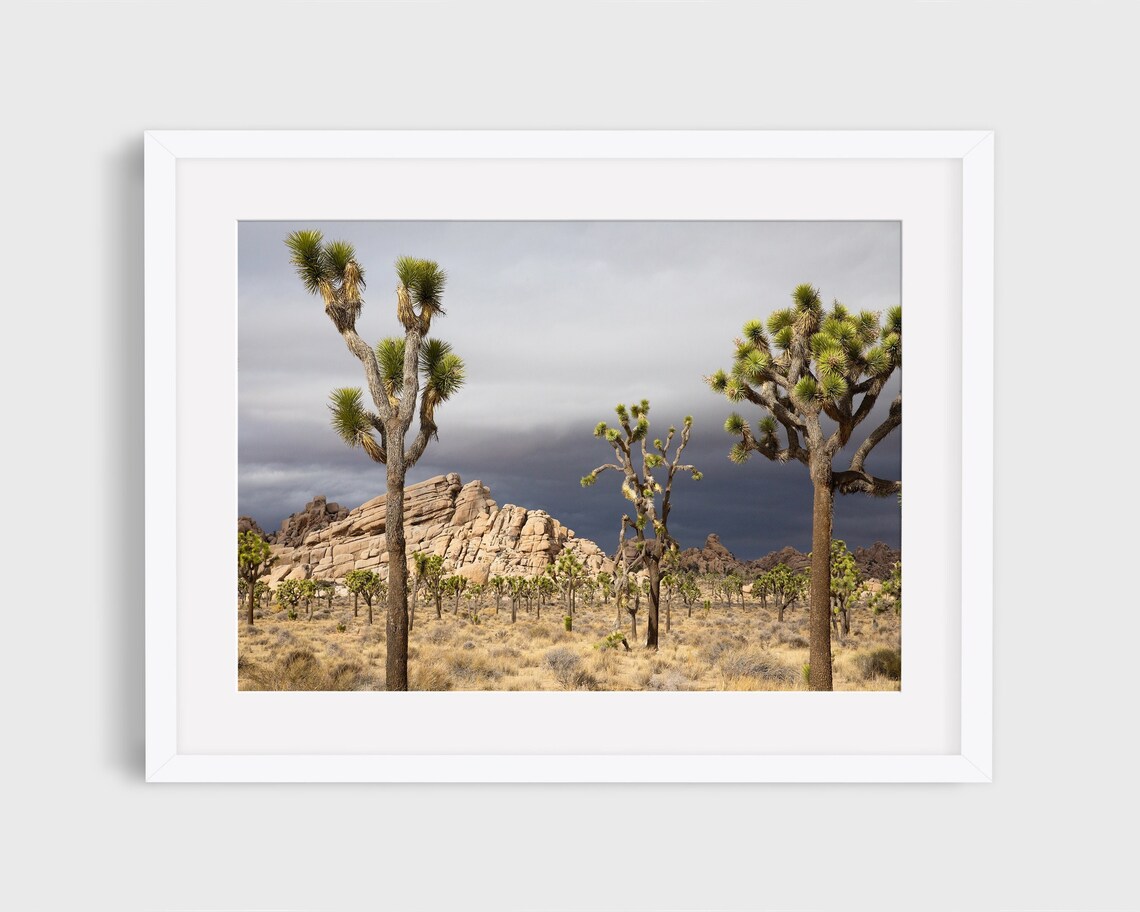 Joshua Tree California Desert Landscape Art Print