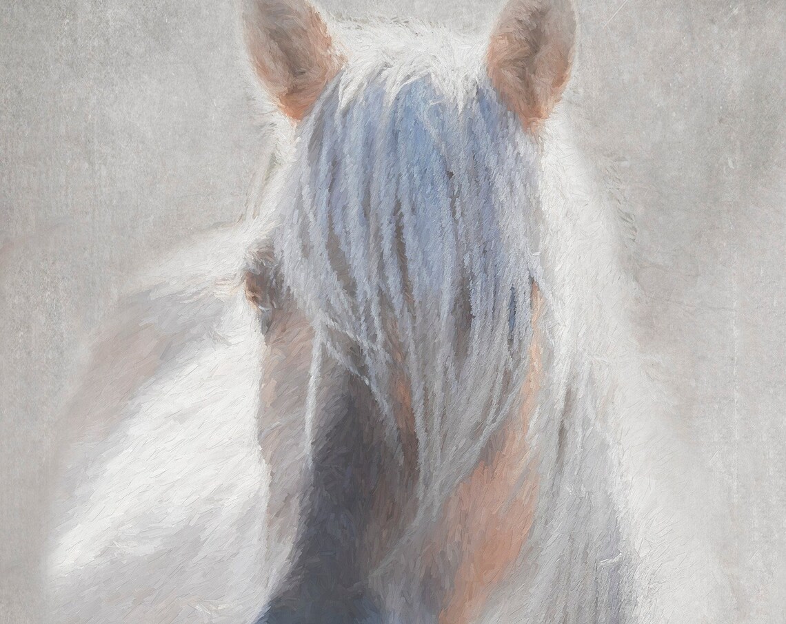 Abstract White Horse Head Profile Painterly Equine Art Wall Poster