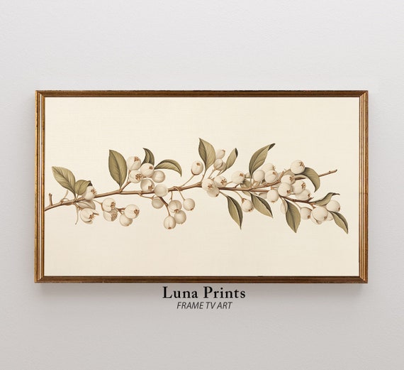 Vintage Botanical Berries Tv Art Illustration Muted Toned Modern Organic For Samsung