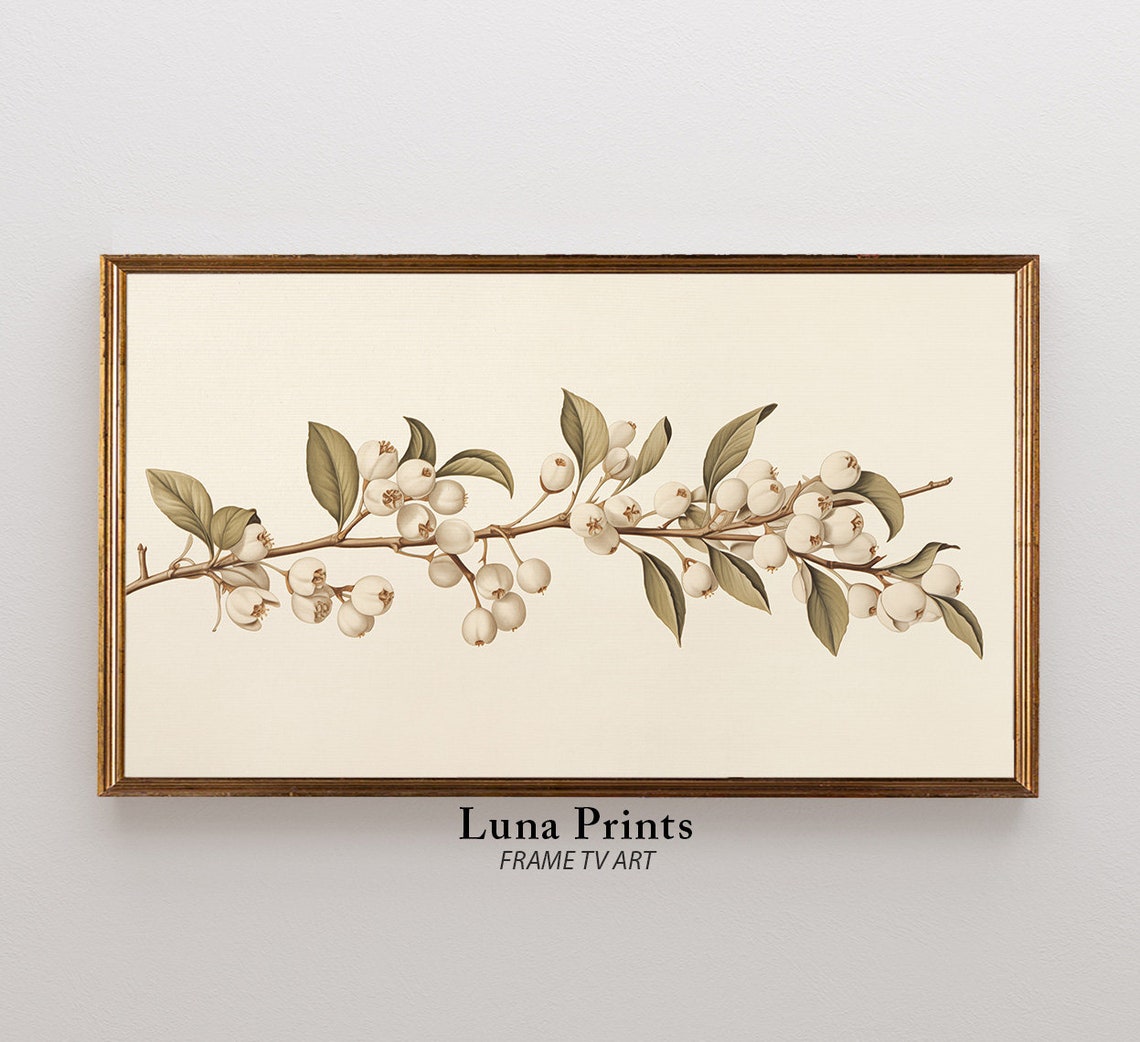 Vintage Botanical Berries Tv Art Illustration Muted Toned Modern Organic For Samsung