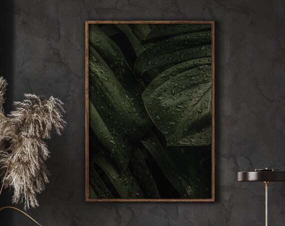 Wet Dark Green Banana Leaves Moody Botanical Photo Decor Poster