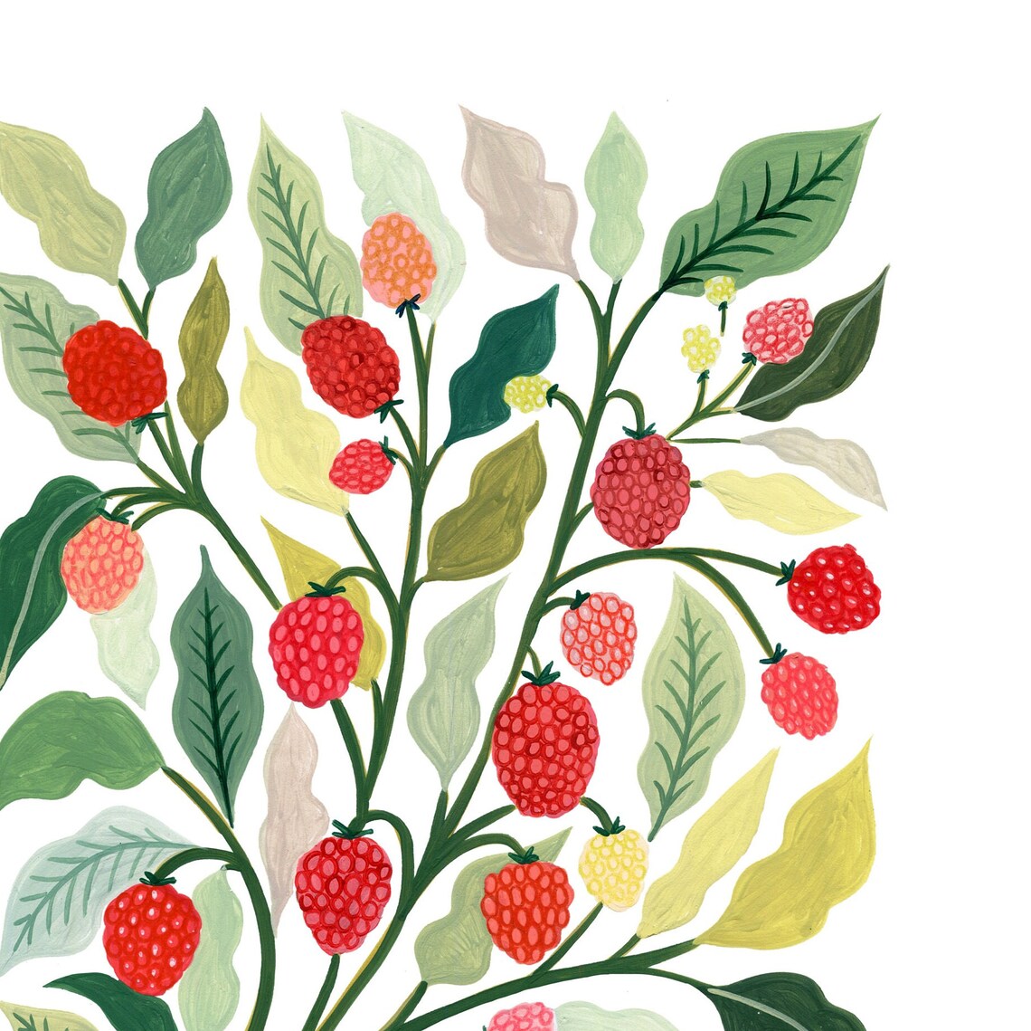 Raspberry Botanical Art Print, Modern Farmhouse - Image 2