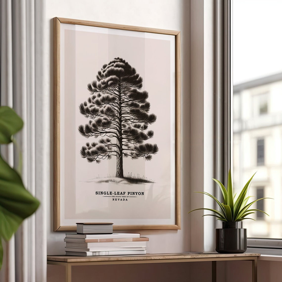 Single Leaf Pinyon Nevada State Tree Vintage Botanical Sketch Poster