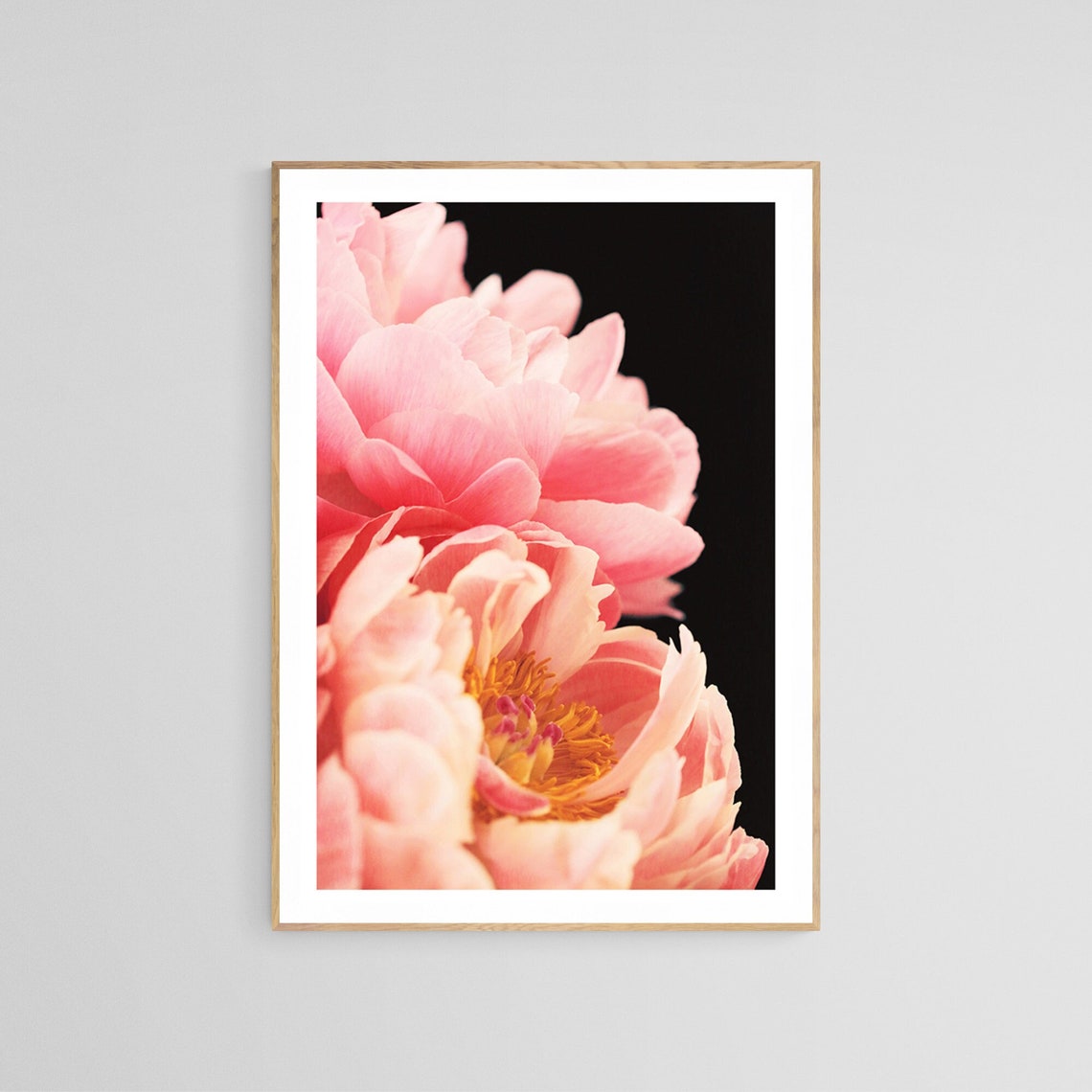 Peony Photograph, Botanical Floral Art Print
