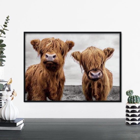 Two Hairy Highland Cows Art Print