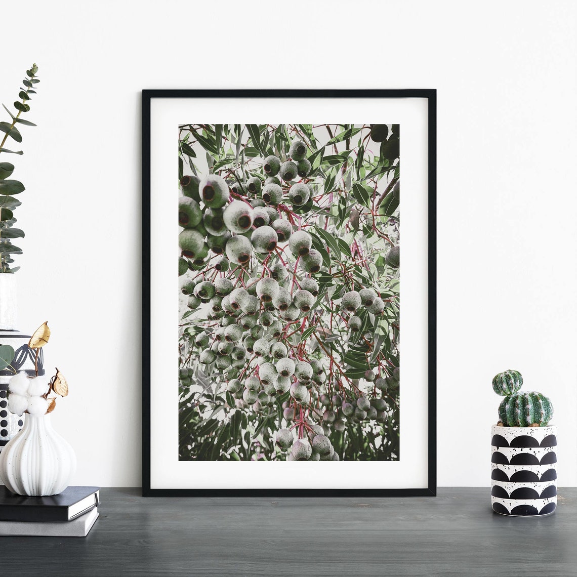 Gumnuts Eucalyptus Seed Pods Botanical Photo Nature Wall Art