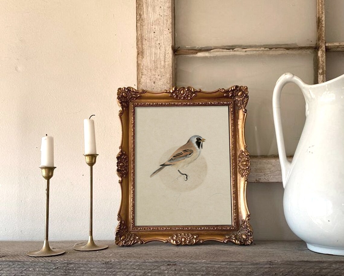 Penduline Tit Songbird Watercolor Study on Cream Paper Poster - Image 3