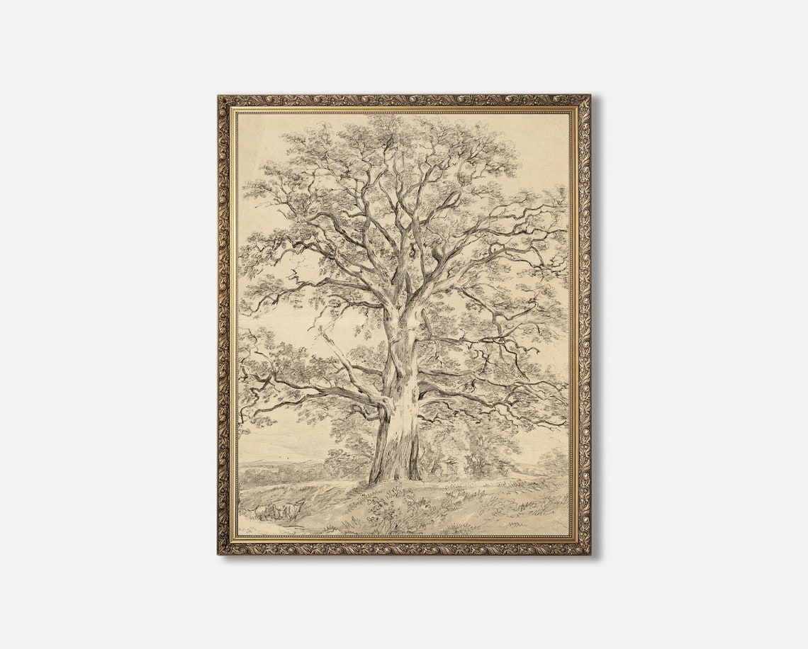 Towering Old Oak Tree Vintage Botanical Pencil Sketch Poster - Image 2