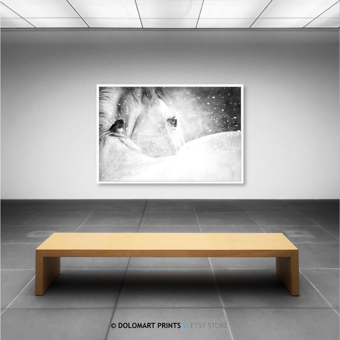Wild Horse Photography, Black And White Art Print - Image 2