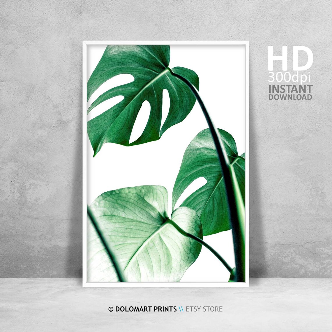 Green Monstera Leaves Close Up Tropical Botanical Photography Poster